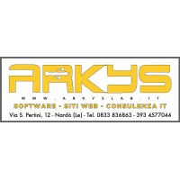 ARKYS SRL logo - Similar company to Cyber Narus Llc