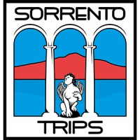 Sorrento Trips logo - Similar company to Sorrento Luxury