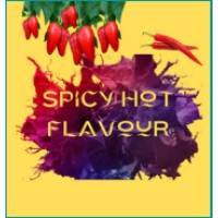 Hot Spicy Flavour logo - Similar company to Minja