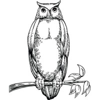 Merk Investments logo - Similar company to Kamperage