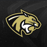 Cougars Saint-Ouen-l'Aumône football américain logo - Similar company to Mf Kite