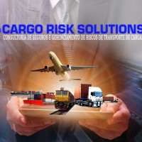 Consultoria CARGO RISK SOLUTIONS logo - Similar company to Tajss Cargo Securing System & Equipment