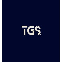 The GameStheory logo - Similar company to Virtual 7