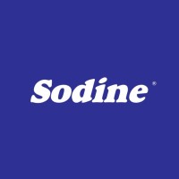 SODINE logo - Similar company to Gente De Talento