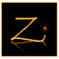 Zenzero Investments LLC logo - Similar company to Pas