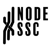 NODE SSC logo - Similar company to R5Pl