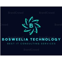 Boswellia Technology logo - Similar company to Inyourborough.Com Ltd