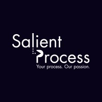 Salient Process logo - Similar company to Blue Polaris