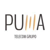 Puma Telecom Grupo logo - Similar company to Enerluxe