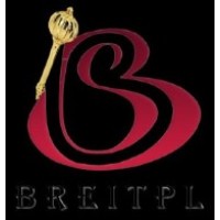 BALAJI RIDHI EDUCATION & INFORMATION TECHNOLOGY PVT. LTD.( BREITPL) logo - Similar company to C-Quel - Your Business... Even Better!