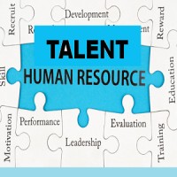 Talent Human Resources logo - Similar company to Talent Human Resources