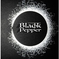 Black Pepper Production logo - Similar company to Zingara Bash Films