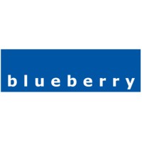 BLUEBERRY PROJECTS LIMITED logo - Similar company to Labour Force Direct Ltd