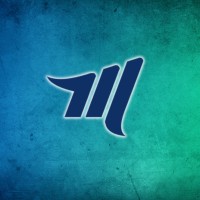Mega IT Stores logo - Similar company to Cutting Edge People Solutions