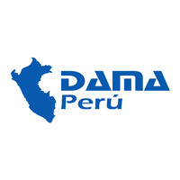 DAMA PERÚ logo - Similar company to She Leads Data