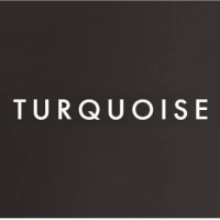 Turquoise - Digital Marketing Agency logo - Similar company to Buffbiz Digital Marketing