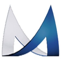 Madina Micro Systems Pvt. Ltd logo - Similar company to Binary Logic It Llc - Intensifying Talent