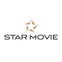 Star Movie logo - Similar company to Hsb Innovations