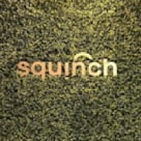Squinch Architects logo - Similar company to Raving Dots Studio