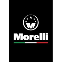 Morelli SRL logo - Similar company to Bioxen