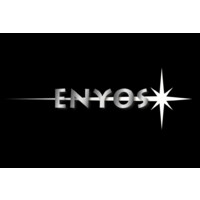 ENYOS logo - Similar company to W Executive France