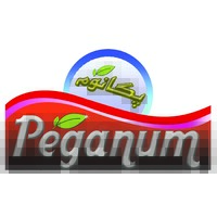 Peganum Agro Industrial logo - Similar company to Fleet Power Ltd. (A Concern Of Fleet Group)