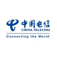 China Telecom Global logo - Similar company to Pccw Global Limited
