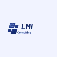 LMI Consulting logo - Similar company to Sihee-It