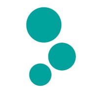 D.Brain logo - Similar company to Finstein Gmbh