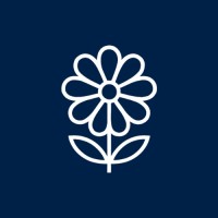 Wallflowers logo - Similar company to Blank Vinyl Project - Bvp