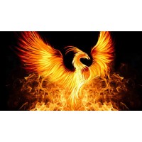 Phoenix Mind Coach logo - Similar company to Dizzital
