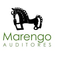 Marengo Auditores logo - Similar company to Marengo Capital