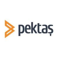 Pektaş İnşaat logo - Similar company to Tekince Grup