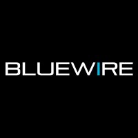 Bluewire Media Solutions Ltd. logo - Similar company to Netdigix Systems Inc