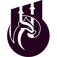 BadgerHub logo - Similar company to Witfuse Solutions