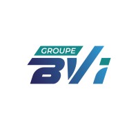 Groupe BVI IVECO logo - Similar company to Bizdev Np