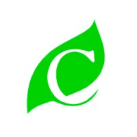 Cabbage Investing