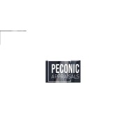 Peconic Appraisals logo - Similar company to Drive Talent