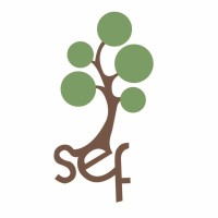 Sycamore Education Foundation logo - Similar company to Sycamore Community School District 427