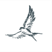 Inuka Partners logo - Similar company to Crossboundary Group