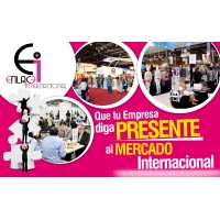 Enlace Internacional SAS logo - Similar company to Enlace Internacional