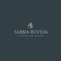 Sabbia Ruvida B.V. logo - Similar company to De Lease Financier