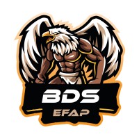 BDS EFAP Lille logo - Similar company to Mba Cms Efap Lille