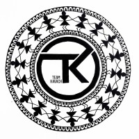 Team Kavach logo - Similar company to Wint Aerospace
