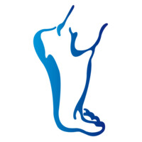 Podozorg Nederland logo - Similar company to Insolution