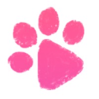 The Zoomie Foundation logo - Similar company to Lazo Llc
