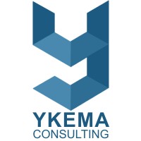Ykema Consulting Inc logo - Similar company to Hroinsight