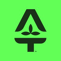Trees for Albania logo - Similar company to Lure Studio