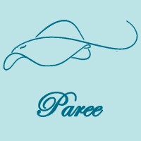 Paree logo - Similar company to Barraq