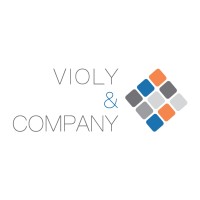 Violy & Company logo - Similar company to Ti Partners